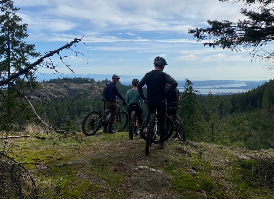 A year's worth of MTB progression